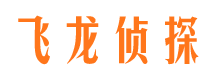 邗江市侦探调查公司